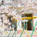 さくら幼稚園　園開放のお知らせ