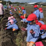 大収穫　秋日和のお芋掘り