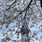 別れと出会いの春